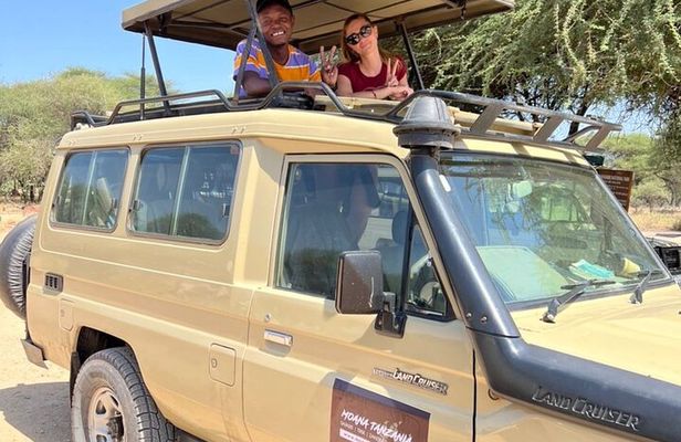 Wildlife Safari Tanzania