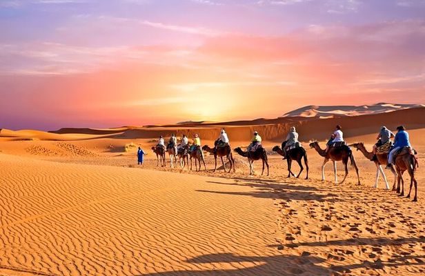 11 Days Grand Morocco Tour from North to South