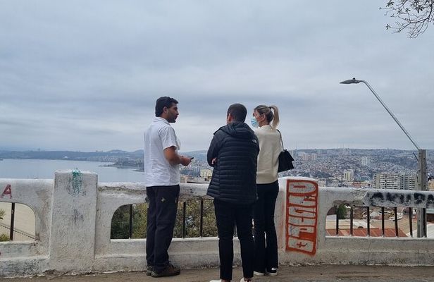 Valparaiso and Viña del Mar Experience