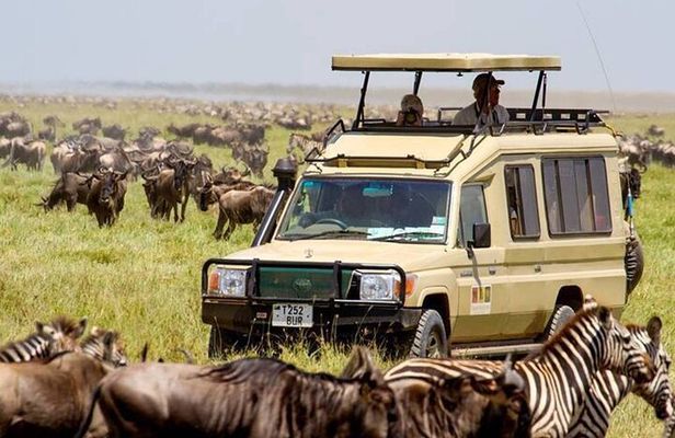 13 Days Best of Kenya and Tanzania BudgetSafari