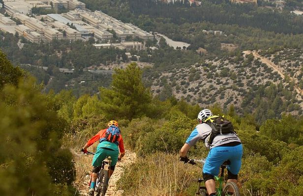 Private Mountain Bike,Trail Ride Tour of Mount Ymittos, Athens.