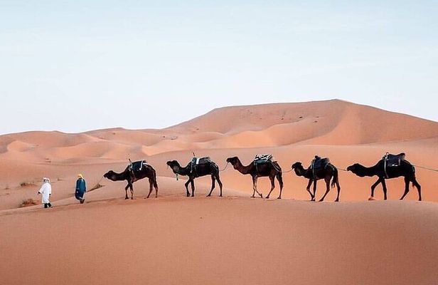 3 Days Tour Marrakech to Merzouga