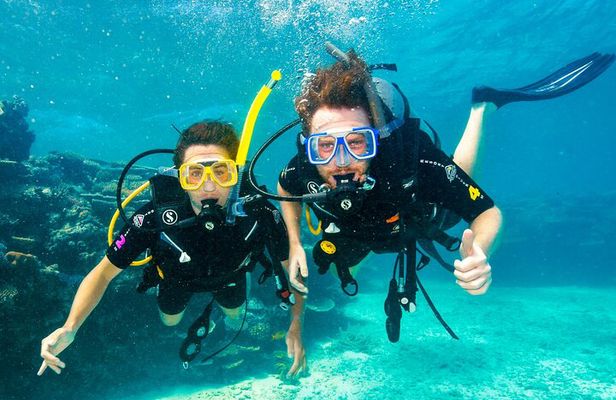 Premium Guided Dive Trip - Outer Great Barrier Reef