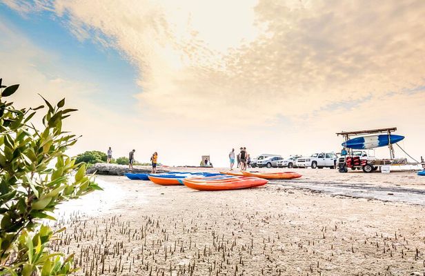 Qatar Kayaking Adventure-Mangrove at Purple Island W/Pick & drop