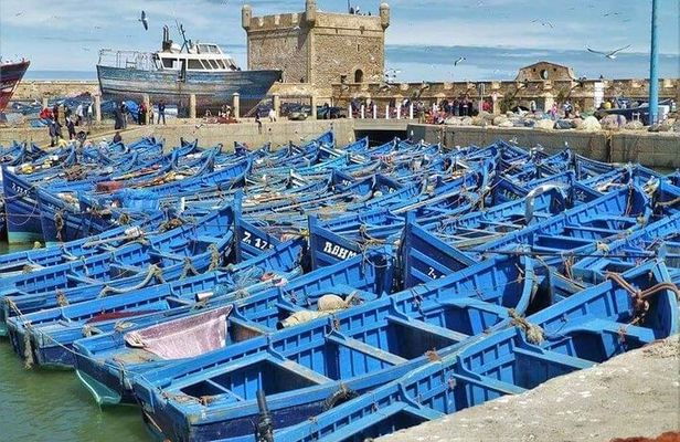 Marrakech - Essaouira Day trip