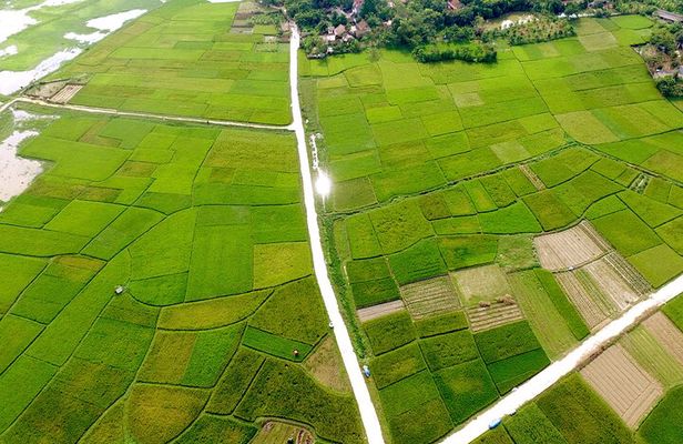 ECO TOUR in Bac Giang - 1 day experience as a farmer