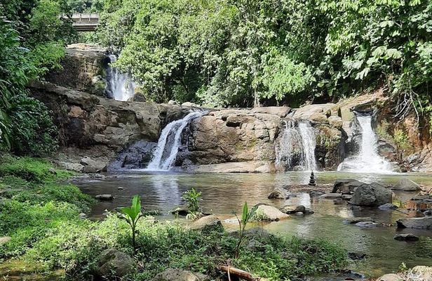 Tour Shaman medicinal plants and waterfalls 