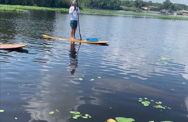 Orlando Manatee and Olde Florida History Adventure Tour