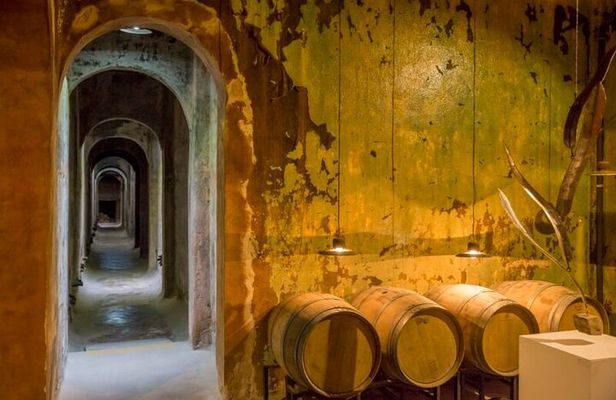 Wine Tour Privado a Colonia Caroya, Córdoba - Argentina
