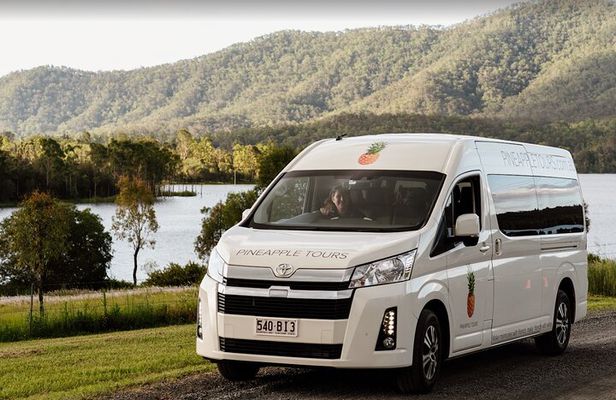 Hop on Hop Off Bus - Tamborine Mountain