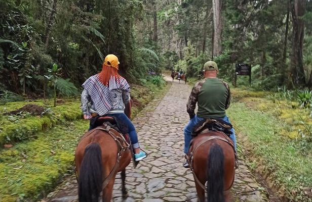Medellin Horse ride coffee tour and spa