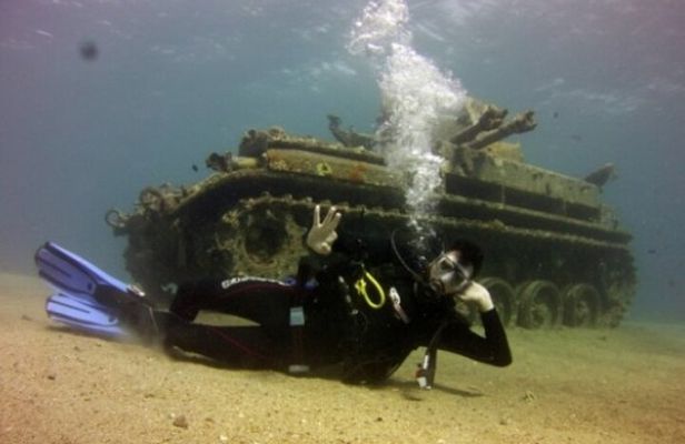 Cruise Experience Half-Day from Aqaba