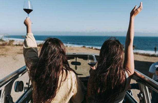 Los Angeles: Private Vintage VW Bus Tour in Malibu