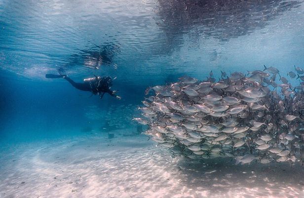 (2 Dives) Discover Scuba Diving Kota Kinabalu