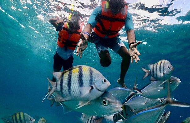 Cozumel El Cielo Reef Snorkel with Round Transportation