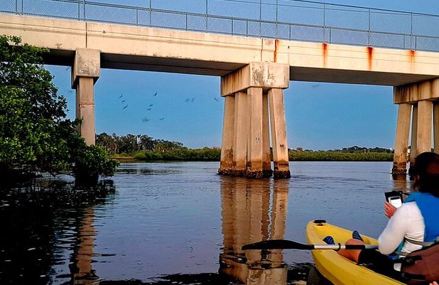 2 Hour Tarpon Springs Sunset and Night Guided Kayak Tour