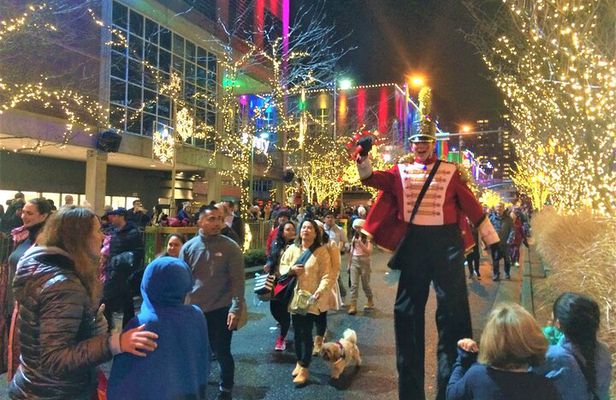Christmas Lights and Snowflake Lane photo tour