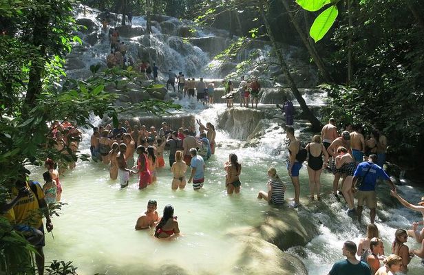 Tour the Natural beauty of Dunn's River Falls from Montego Bay