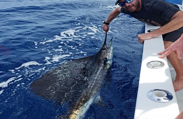 Offshore Fishing trip (Deep sea fishing)