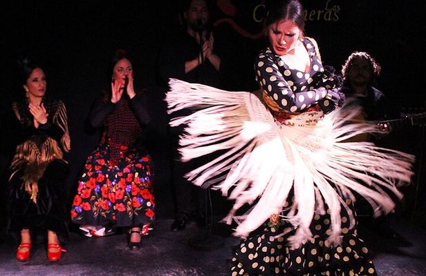 Madrid Local Tapas, Wine Bars & Flamenco Show