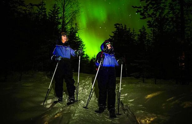Ski Trekking under the Northern Lights