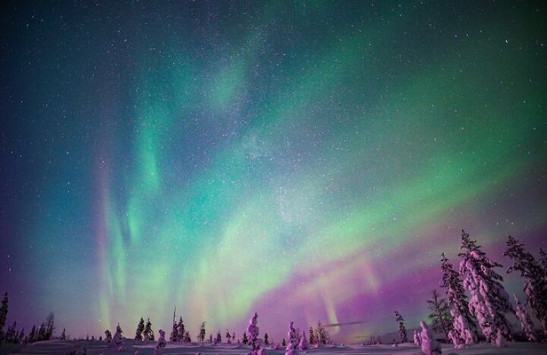 Northern Lights Snowmobile Sledge Ride in Rovaniemi
