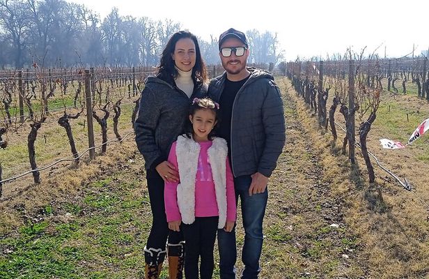 Cousiño Macul Vineyard - Maipo Valley - Premium Tasting - HD