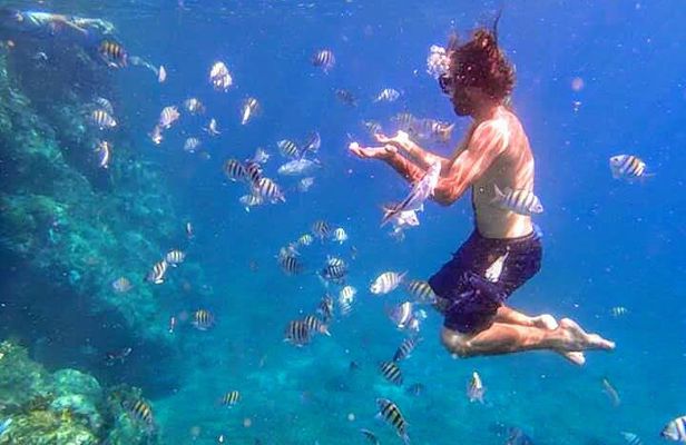 BVI Daytrip on private powerboat with snorkeling