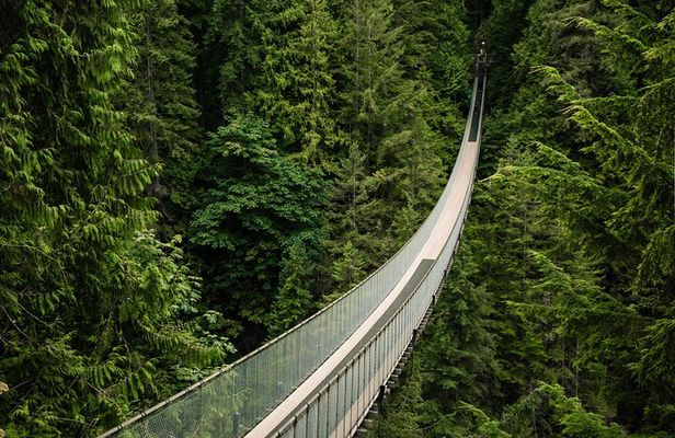 Vancouver's Finest Private Sightseeing Tour
