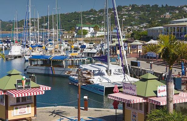 7 Days Garden Route Private Tour - Durban To Cape Town
