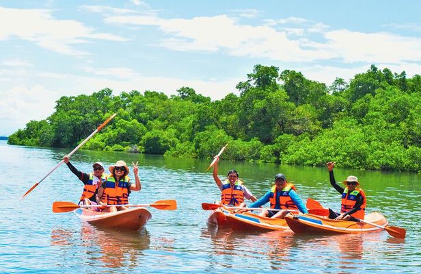 Bali Mangrove Canoeing Tour