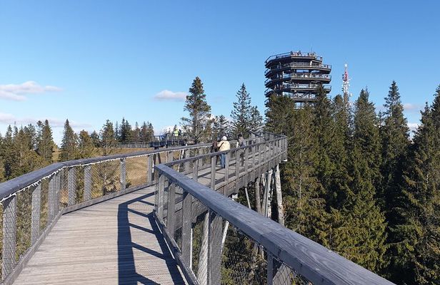 Full-Day Private Tour of Slovakia Treetop Walk and Zakopane