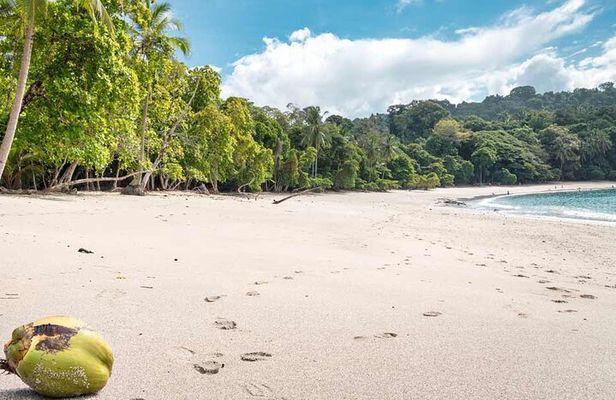 Manuel Antonio National Park