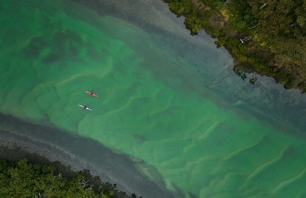Bermagui River Kayak Tour