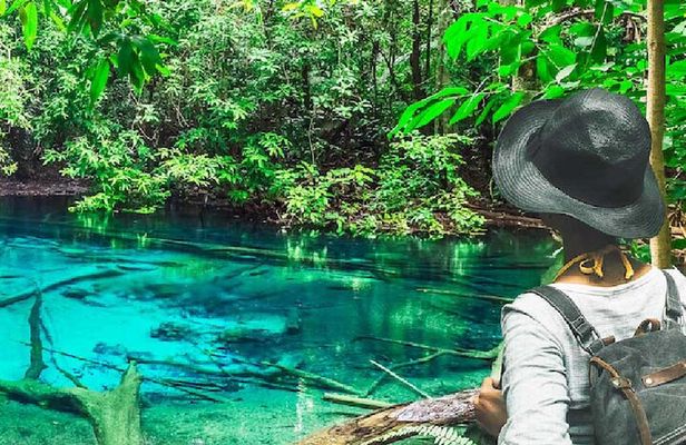 Tiger Cave Temple, Emerald Pool & Hot Springs Tour from Krabi