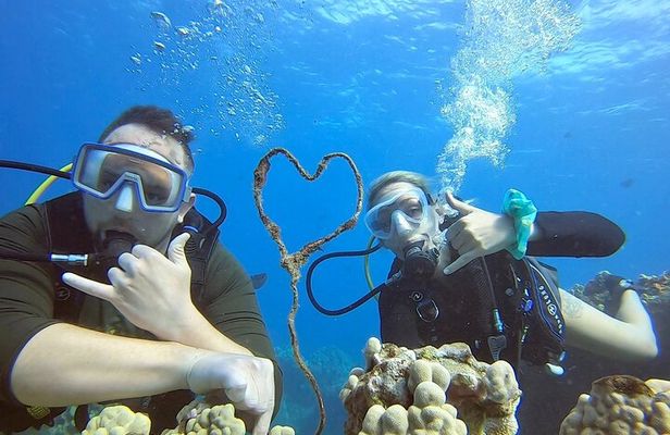 Scuba Refresh Course & Reef Dive Kaanapali