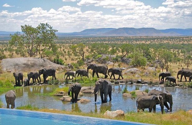 Full Day Hluhluwe Imfolozi Private Game Reserve from Durban