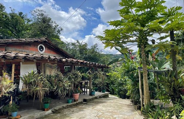 Private Half-Day Coffee Tour at Family Farm Close to Medellín!