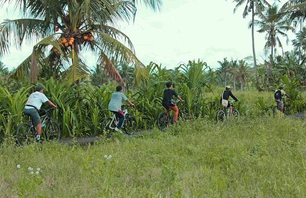 Bali Countryside Eco Cycling Tour include Lunch