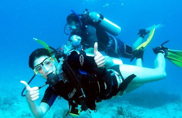 Pattaya PADI Beginner Scuba Diving One Try Dive Depth 6 Meters and Snorkeling )