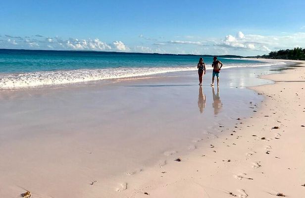 Full-Day Harbour Island Pink Sand & Swimming Pigs from Nassau