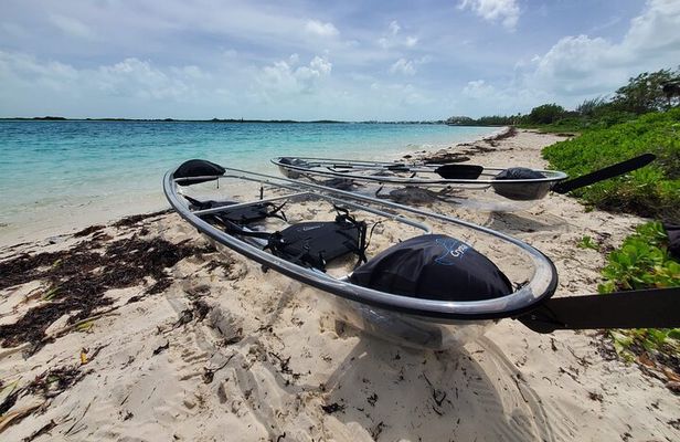 Clear Kayak Mangrove Eco Tour