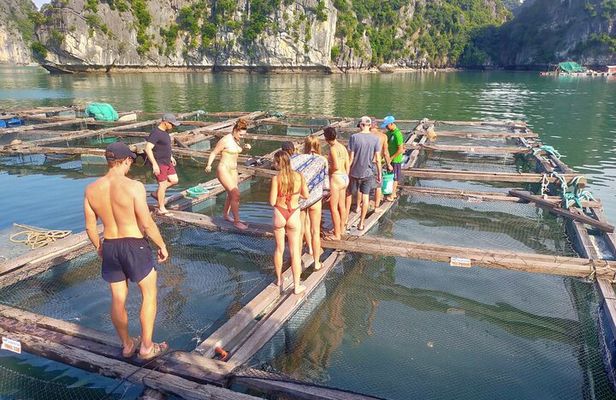 From Ha Noi/Cat Ba: Full-Day Cruise to Lan Ha bay - Ha Long Bay