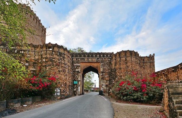 Private Day Trip to Chittorgarh from Udaipur with Guide Option