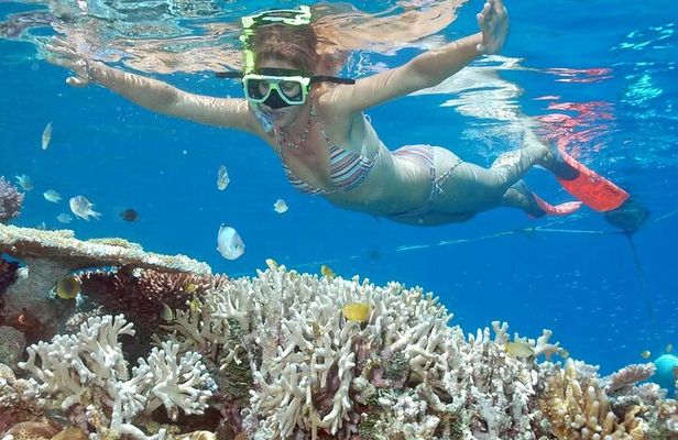 Full-Day Tour in Nusa Penida Island + Snorkeling Experience
