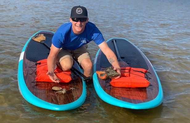 Dolphin and Manatee Tour of Marco Island by Kayak or SUP