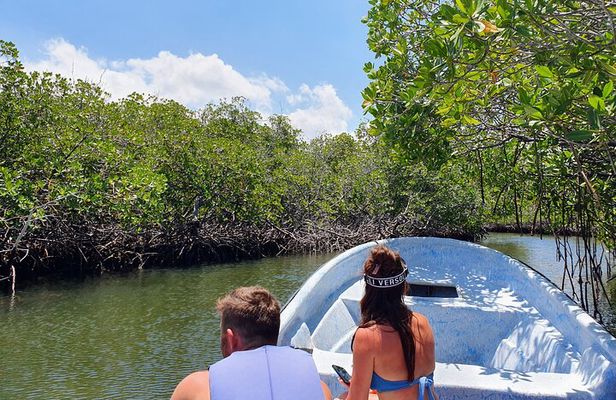 Private Tour to Paradise Island with Snorkel & Manatee Sanctuary