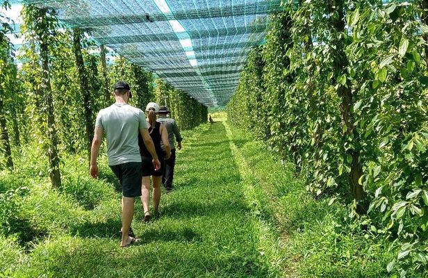 Exploring Kampot: A Memorable Tour from Sihanoukville