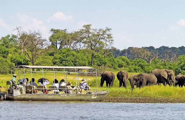 Chobe Boat Cruise & Game Drive Day Trip From Livingstone