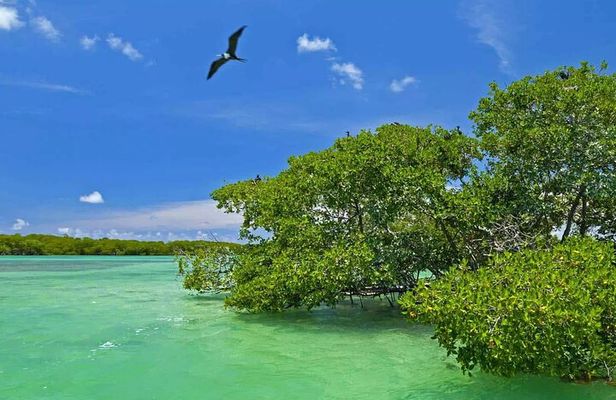 Nature Day, Sian Kaan Biosphere Tour! Round Transportation from Tulum City